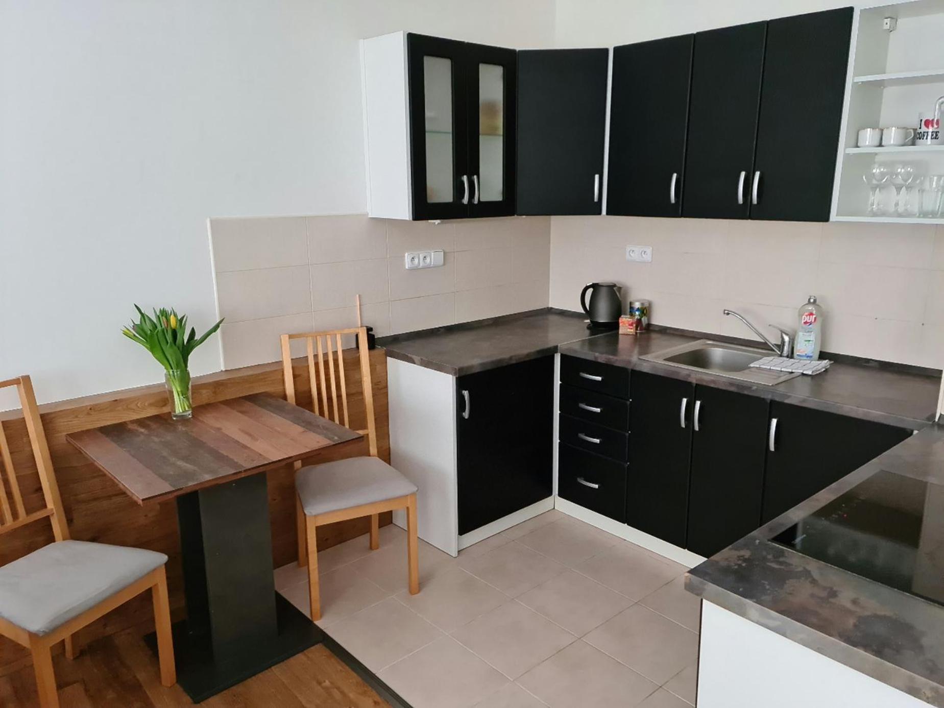 City Centre Apartments Λίμπερεκ Εξωτερικό φωτογραφία